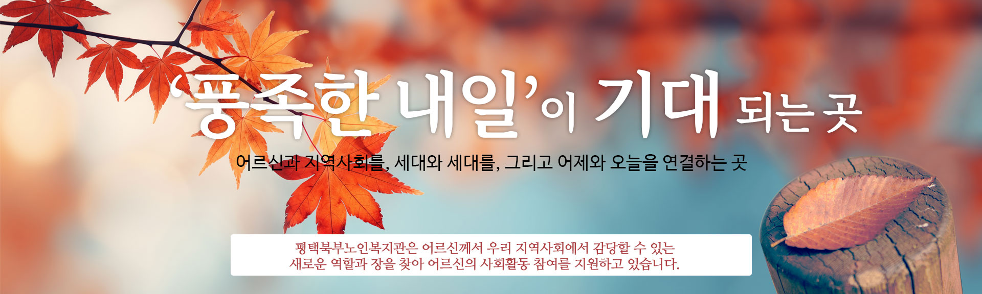 '풍족한 내일'이 기대되는 곳
어르신과 지역사회를, 세대와 세대를, 그리고 어제와 오늘을 연결하는 곳
평택북부노인복지관은 어르신께서 우리 지역사회에서 감당할 수 있는
새로운 역할과 장을 찾아 어르신의 사회활동 참여를 지원하고 있습니다.